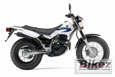 2009 Yamaha TW200 photo